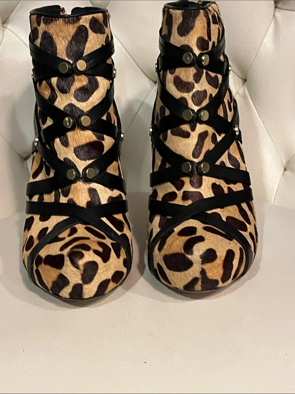 House of Harlow 1960 bold leopard